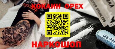 прущие грибы Новозыбков