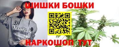 прущие грибы Новозыбков
