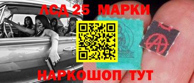 прущие грибы Новозыбков