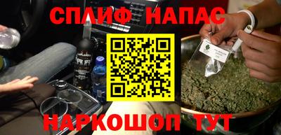 прущие грибы Новозыбков