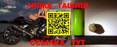 прущие грибы Новозыбков