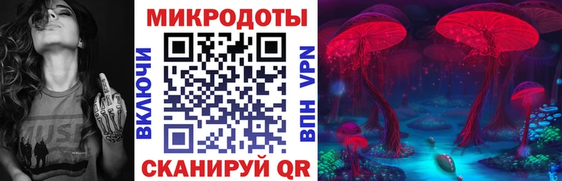 ссылка на мегу сайт Уссурийск Псилоцибиновые грибы прущие грибы