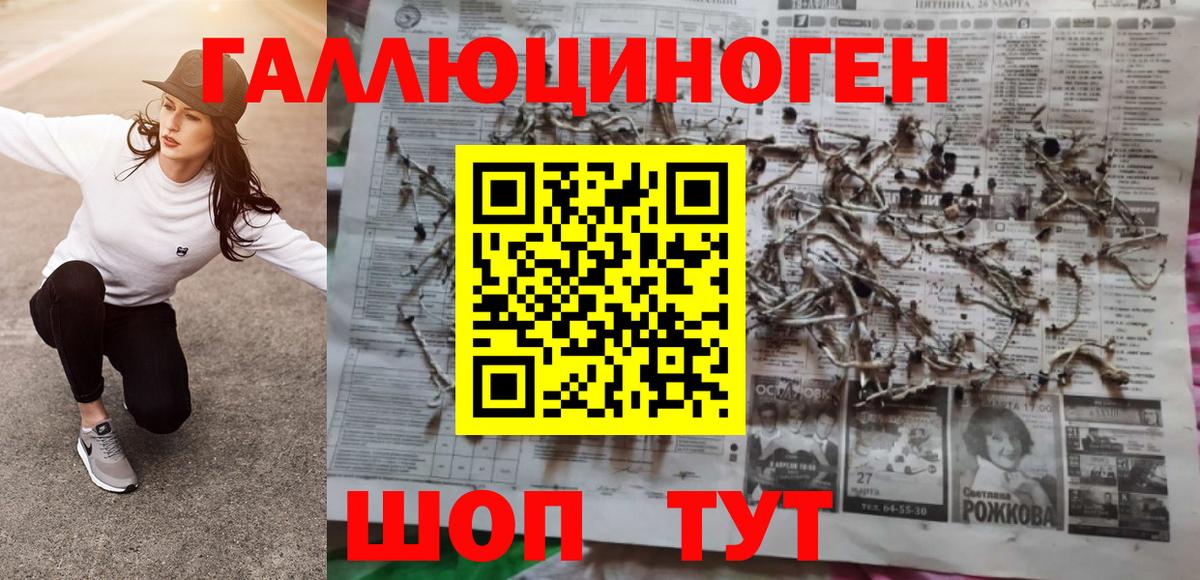Псилоцибиновые грибы Cubensis  Вход с VPN  Уссурийск 